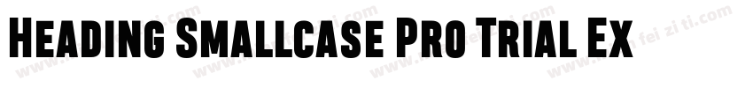 Heading Smallcase Pro Trial ExtraBo字体转换